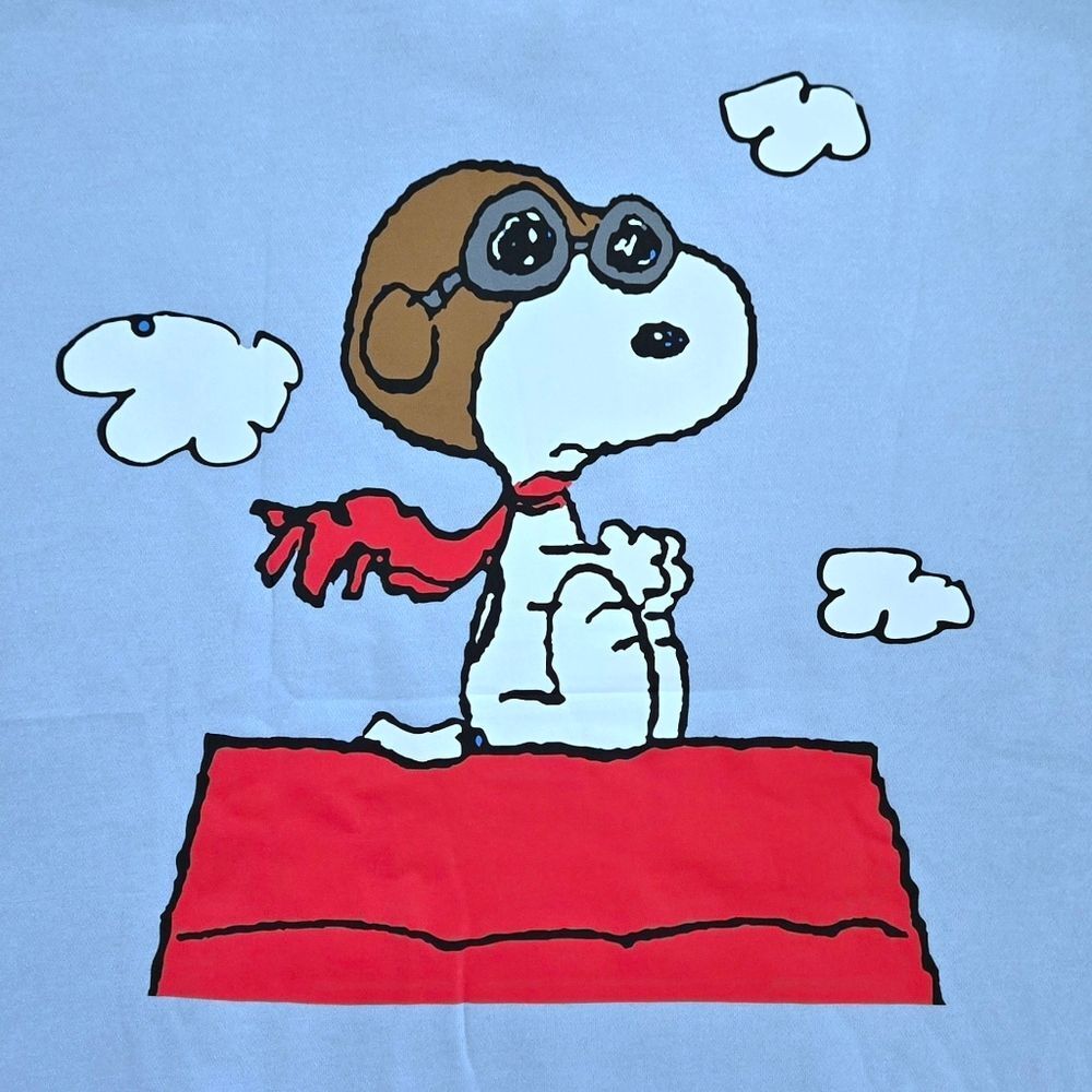 Peanuts🥜  "Snoopy World War I Flying Ace" Hoodie - NWT - Picture 4 of 13